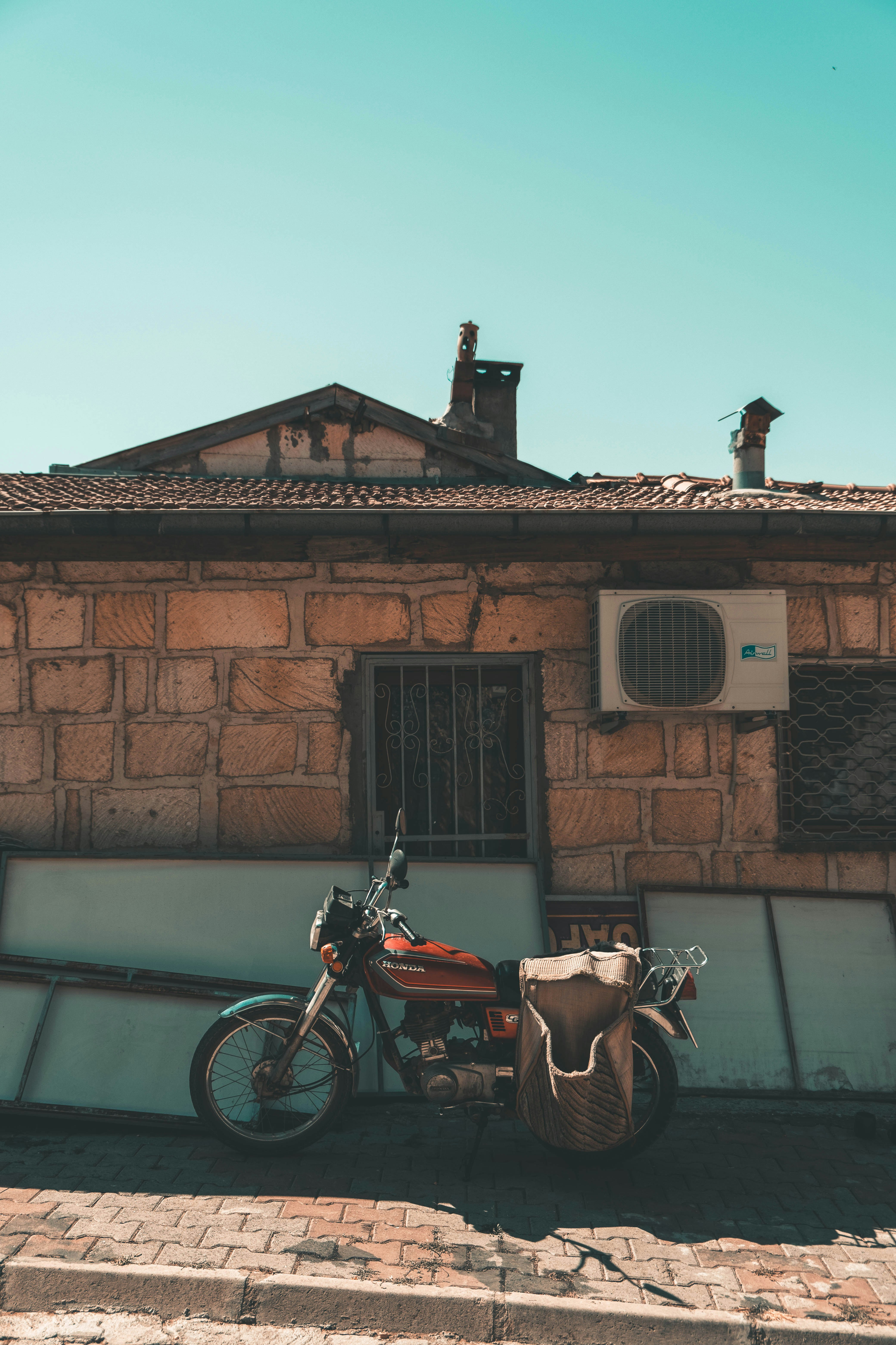 brown horse in front of brown concrete building during daytime